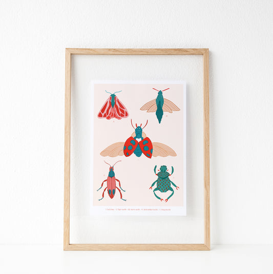 Print "Moths"