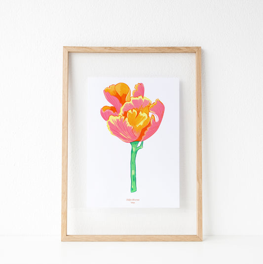 Print "Tulip"